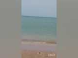قلب بزرگ