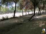 تغییر زاویه 1011 درجه