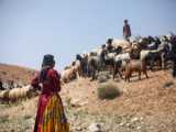 شهر گلیداغ در روستای شارلوق، شهرستان کلاله، استان گلستان