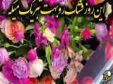 کلیپ تبریک روز پرستار برای عشق من.mp4