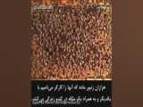 عسل با کیفیت