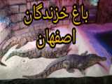 تور صحرا