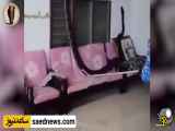 مستند حیات وحش: شکار مار 7 متری در داخل خانه