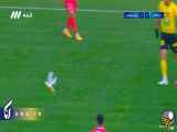 کبوتر در بازی بین پرسپولیس و سپاهان در وسط زمین است