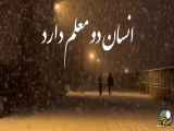 آموزشگران انسان در طول عمر