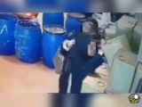 ویدیو جالب و جذاب از سرقت گروهی روغن و پنیر توسط سه زن در فروشگاه