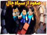 ژینی ویزلی