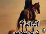 ایرانی ها به چه صورت مردم هستند؟