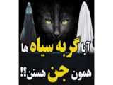 در جنگل وحشتناک