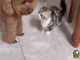 به دنیا تغییر کرده است
