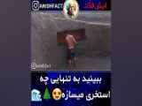 محصولات غذایی سی باس