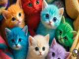 بچه‌های گربه‌های رنگینه