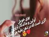 عطر‌های زنانه و مردانه