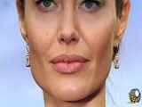 زیبایی از چشم گربه آغاز میشود