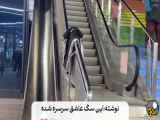 اپو عاشق بازیهای سرسره