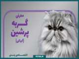 تنها حیوانات خانگی دوست و آشنا