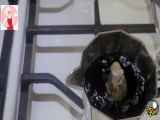 آموزش طرز تهیه قهوه اسپرسو با استفاده از اسپرسودرنامه