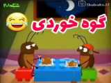 طائوس
