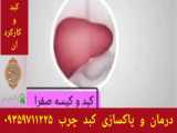 دلایل ابتلا به آلزایمر در آموزش سلامت با استاد احمدیانفرد