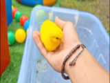 جوجه‌های رنگارنگ برای جشن‌ها و عید