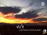 پر شور زندگی