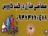 سرویس سمپاشی منازل در شهر گنبد کاووس، تماس: 09363660478
