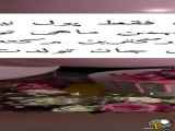 تولد زیبای ماه بهمن