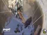 لحظه نجات یک گراز و یک ببر وحشی از چاه آبی