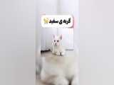 فقط در یک سیاره زندگی کنید