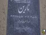 قبرستان حیوانات در کشور ایران