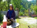 آشپزی در طبیعت روستایی