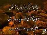 فقط خدا