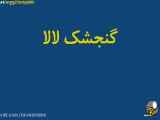 کلیپ آهنگ لالایی قدیمی به موسیقی آرامش بخش ماه رمضان ساعت ۹ رادیو کودک