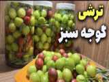 روش کاشت سبزی ماش | سبزه ماش برای جشن نوروز ۱۴۰۴ | سبزه سریع