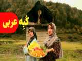 قهوه عراقی قیمت چنده؟