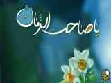 دل به امام زمان وفادارم و او را دوست دارم به جان و جهان