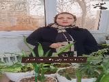 محاسبه لیست بیمه 