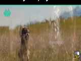 فیلم سینمایی طعمه ۲۰۲۲: بازی آخر
