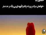 شماره ۱۴۳: از این به بعد