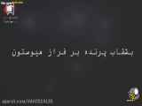 مشاهده بندر پرنده ها