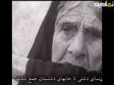 فیلم های حوادث روز ( جشنواره کوچه در بوشهر )