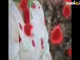 موزیک ویدئو شاد و زیبای محلی