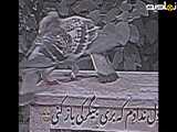 کلیپ دیدنی و دل انگیز