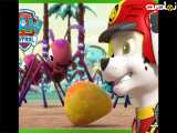 پلیس پاترول | کارتون پلیس پاترول | انیمیشن پلیس پاترول | PAW Patrol | قسمت 169