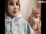 اگر گربه من بود و نسری بابت آن نالیده بود