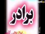تبریک روز برادر از طرف خواهر - کلیپ مناسب برای استوری