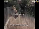 استعدادهای شیر: ویدیوی انگیزشی برای شروع یک مسیر پر چالش