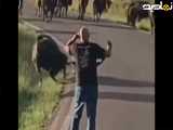 موتور سوار مورد حمله گاو خشمگین قرار گرفت