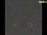 مشاهده حیوانات پرنده ناشناخته در آسمان اسپانیا