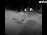  زندگی را به رنگ هنر تزئین کنید 